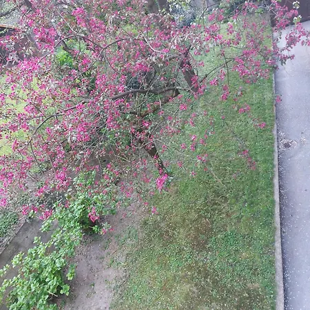 Privat bolig Narnia *