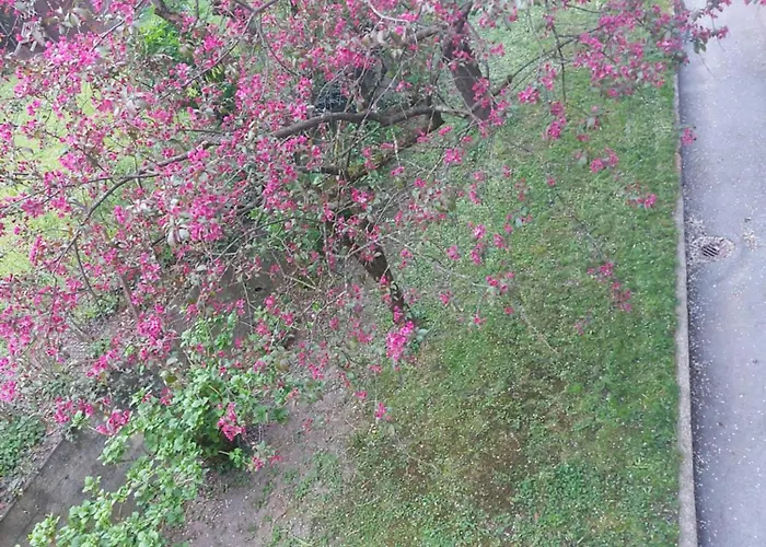 Homestay szállás Narnia *